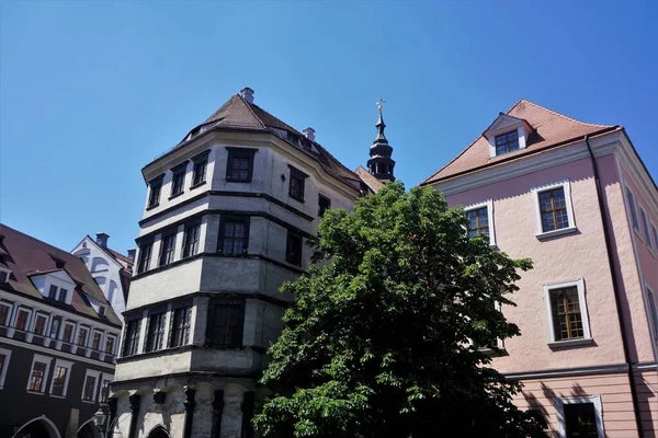 Boom Tussen Twee Oude Huizen Oude Binnenstad Van Goerlitz — Stockfoto