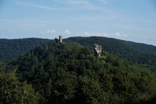 Trifels Kalesi, Palatinate Ormanı 'nın ortasındaki yeşil bir dağın üzerinde yer alıyor.