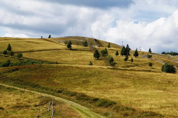 Letni Tor Bobslejowy Górze Markstein Vosges Francja — Zdjęcie stockowe