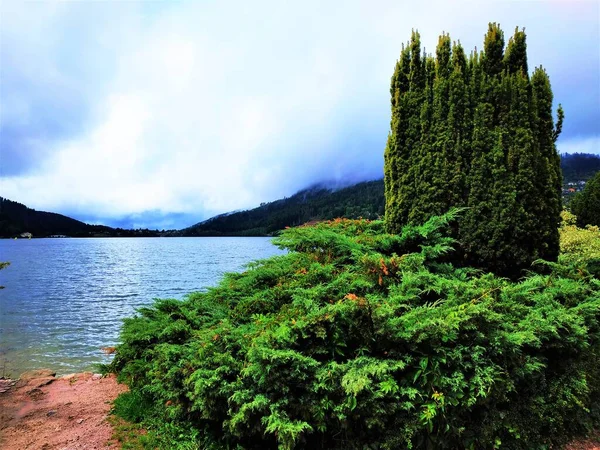 Arbustos Verdes Frente Lago Azul Gerardmer Francia — Foto de Stock