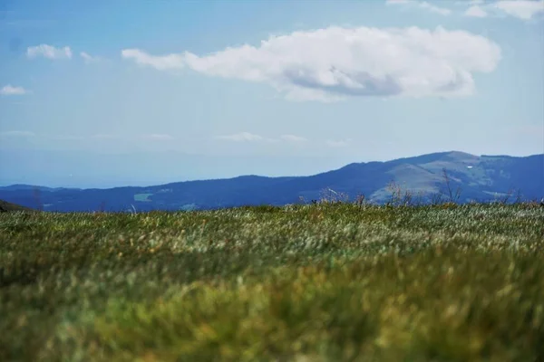 View Grass Plain Hills Vosges Region France White Clouds Blue — Stock Photo, Image