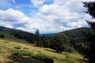 Fransa 'daki Le Markstein dağının yakınlarındaki güzel bir arazide yürüyüş yapmak.