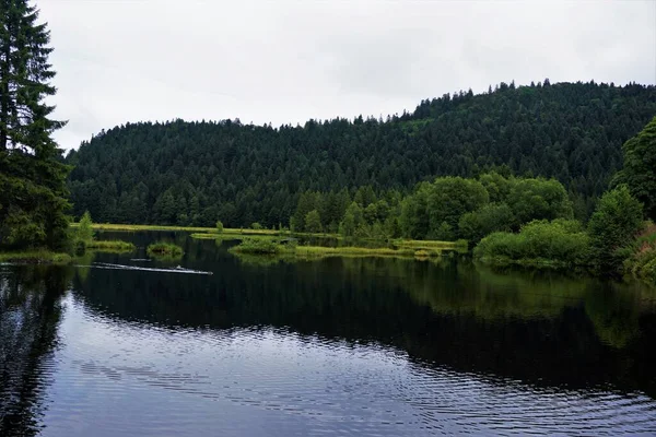 Vista Sobre Lac Lispach Bresse Francia Las Colinas Circundantes — Foto de Stock