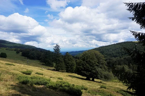 Hiking Beautiful Landscape Markstein Mountain France — Stock Photo, Image