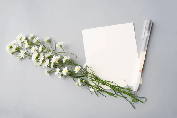 Tarjeta blanca en blanco con pluma — Foto de Stock