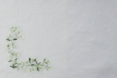 Çiçek çerçeve beyaz Noel çiçek 