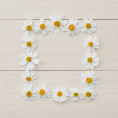 Homoseksüel beyaz çiçek çerçeve İspanyol iğne