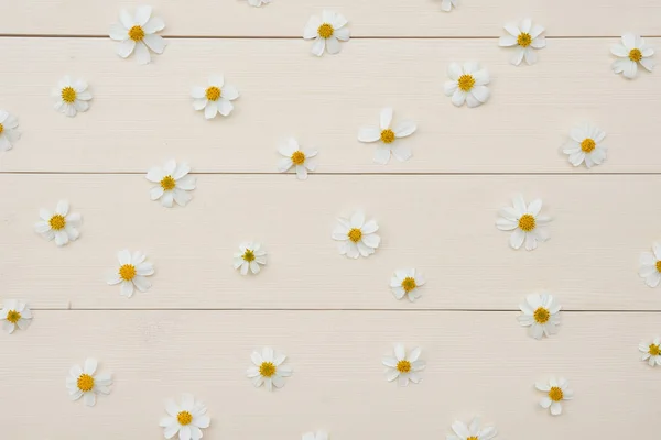 A virágok fehér spanyol tű minta — Stock Fotó