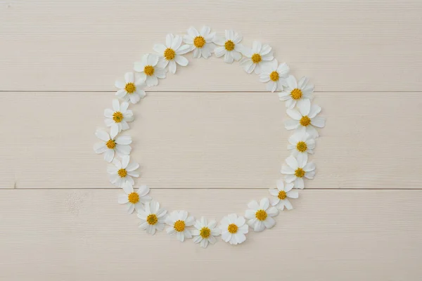Okrąg ramki biały kwiat hiszpański igły — Zdjęcie stockowe