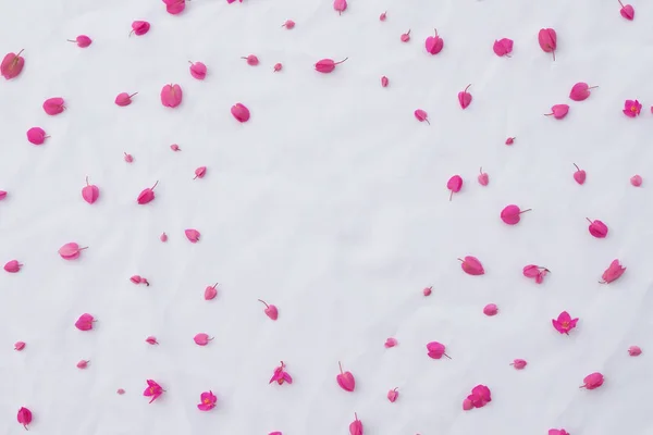Pembe mercan asma çiçekleri beyaz kumaş üzerine desen