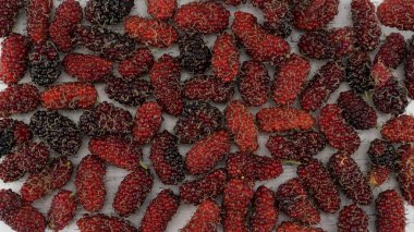 Dut arka plandan Üstten Görünüm