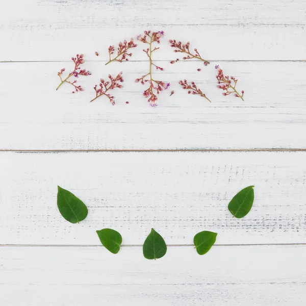 Pembe star meyve çiçek ve yeşil yaprakları, daire çelenk