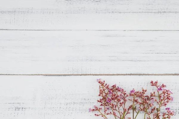 Pembe star meyve çiçekleri beyaz ağaç üzerinde şube ile 