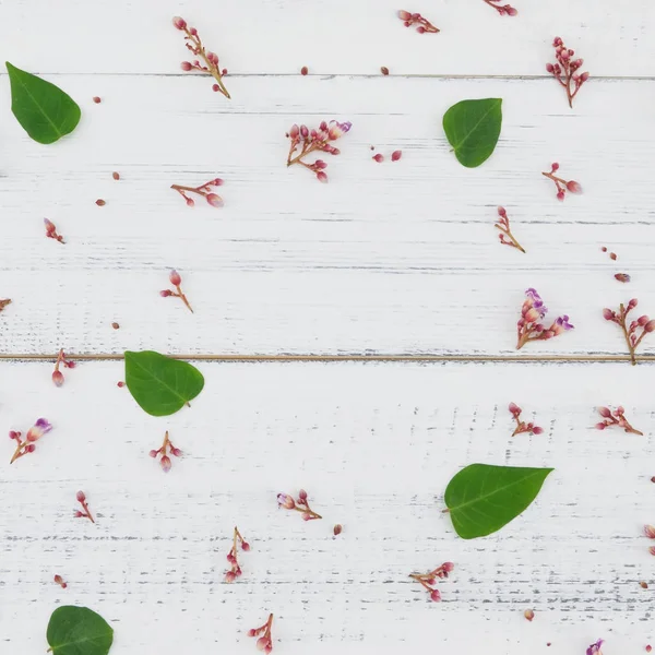 Pembe star meyve çiçek ve yeşil yaprakları