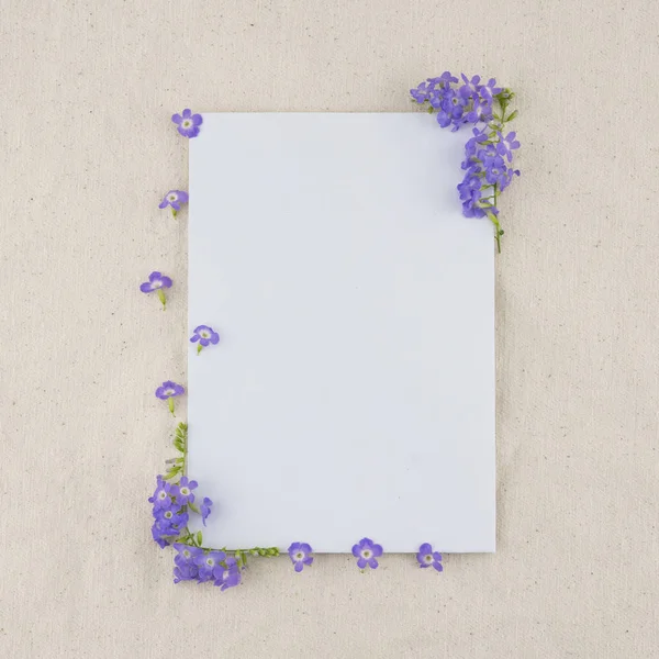 Weiße Karte mit lila Blume von duranta erecta l dekoriert. — Stockfoto