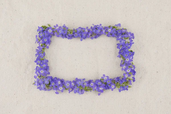 Dikdörtgen mor çiçek çelenk Duranta erecta L.