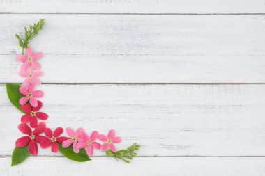 Yeşil yaprakları ile pembe ve kırmızı çiçek çelenk