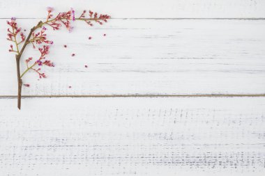 Beyaz ahşap zemin üzerinde pembe star meyve çiçek 