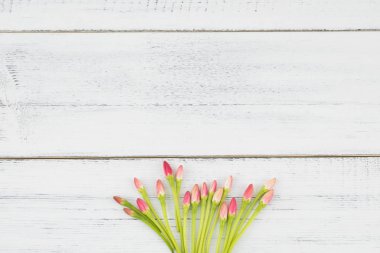 Beyaz ahşap zemin üzerine pembe ve kırmızı tomurcuklanma çiçek