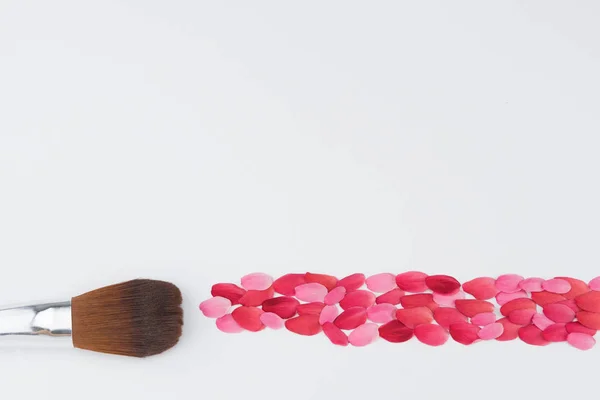 Kinden borste och rosa och röda kronblad — Stockfoto