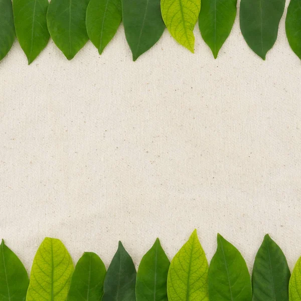 모 슬 린 직물에 녹색 잎 배경 — 스톡 사진