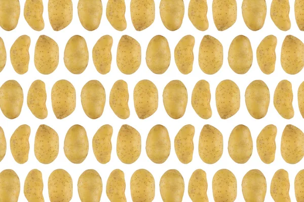 흰색 배경에 고립 된 감자 패턴 — 스톡 사진