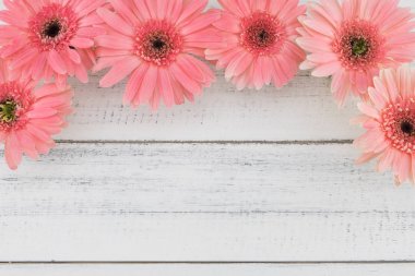 Beyaz ahşap zemin üzerinde pembe Gebera çiçekler