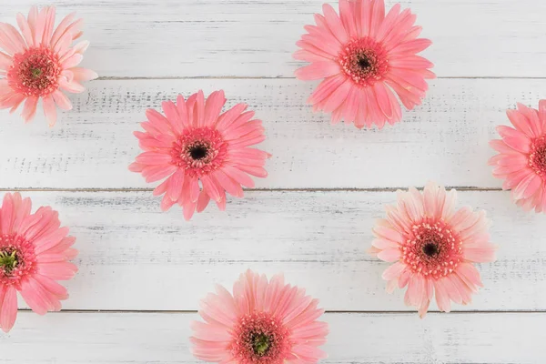 Pembe Gebera çiçek desen Beyaz ahşap zemin üzerinde 