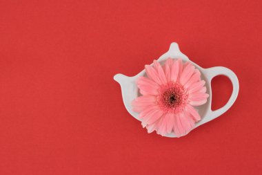 Plaka şeklinde çaydanlık Gebera çiçek pembe