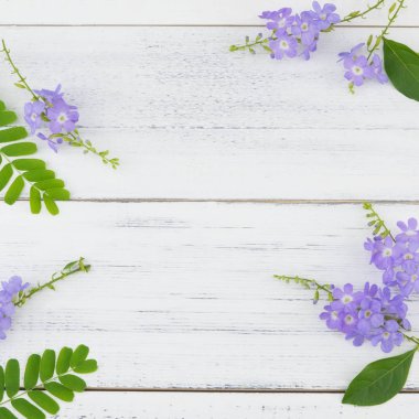 Purple flowers and green leaves on white wood clipart