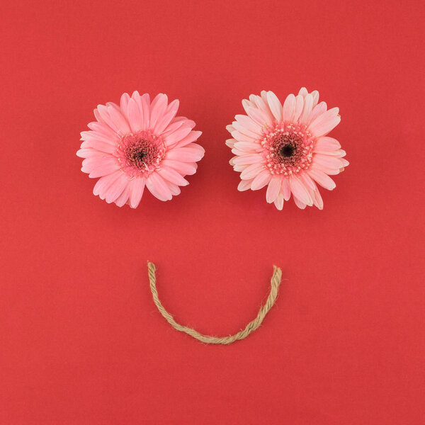 Smiling face made from pink Gerbera flowers on red background