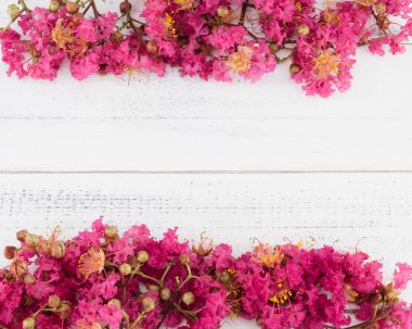 Krep myrtle çiçek buketi Beyaz ahşap zemin üzerinde 