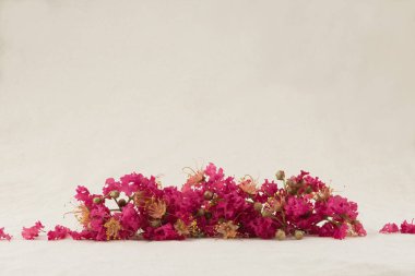 Krep myrtle çiçek buketi kopya alanı ile