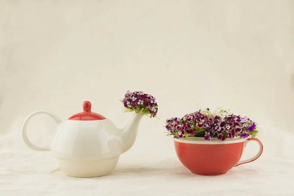 Süße Williamsblüten in Teekanne und Teetasse — Stockfoto