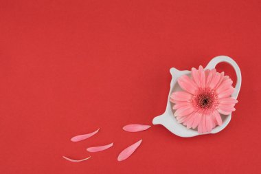 Plaka ve pembe yaprakları çaydanlık pembe Gebera çiçek şeklinde 