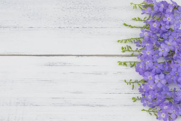 Beyaz ahşap zemin üzerinde mor çiçekler 