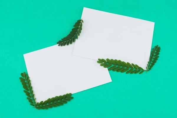 Дві порожні білі картки, прикрашені листям тамаринда — стокове фото