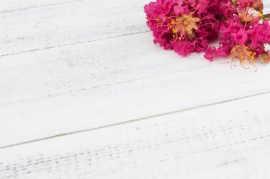 Beyaz ahşap arka plan kopya alanı ile pembe krep myrtle çiçekler
