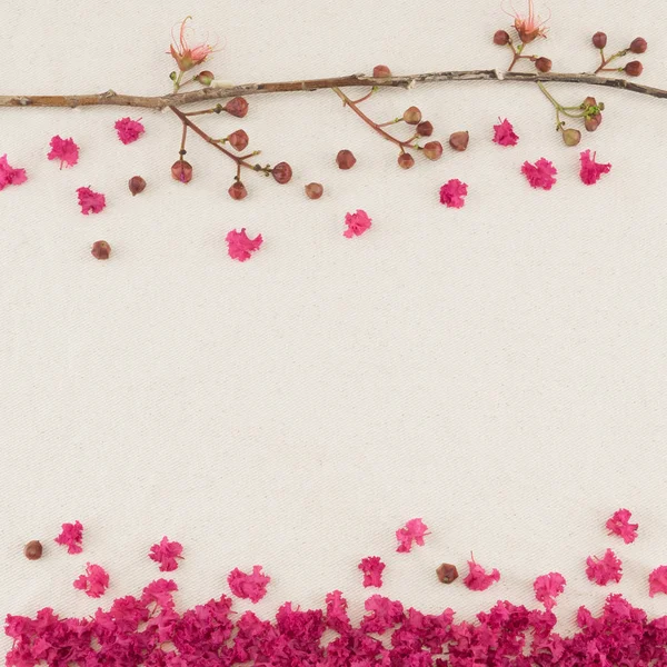 Rózsaszín gyászszalagot mirtusz virágok ág és a hulló szirmok — Stock Fotó