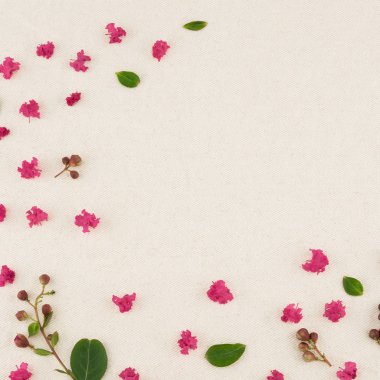 Pembe krep myrtle yaprakları, yaprak ve tomurcuklanma çiçek muslin kumaş üzerine