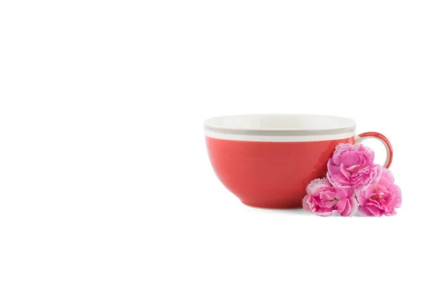 Rote Teetasse Und Rosa Nelkenblüte Isoliert Auf Weißem Hintergrund Mit — Stockfoto