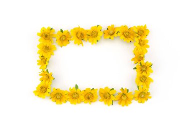 Kopya alanı beyaz zemin üzerine sarı Wedelia çiçek çelenk kare