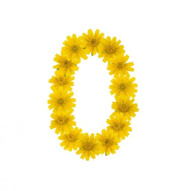 Beyaz arka plan üzerinde izole sarı Wedelia çiçek yapılan numarası 0