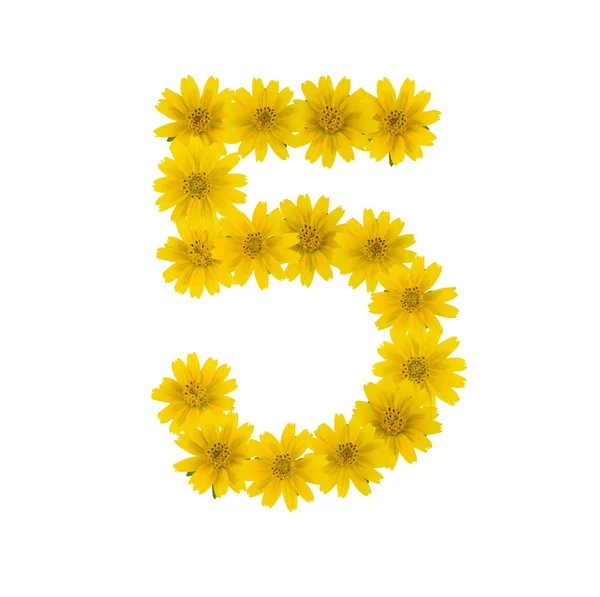 Número Feito Flores Amarelas Wedelia Isolado Fundo Branco — Fotografia de Stock