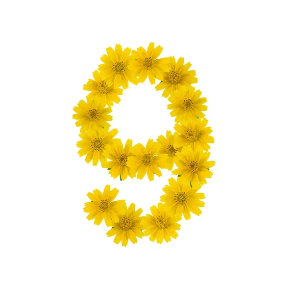数字9由黄色蟛花在白色背景上隔离 — 图库照片