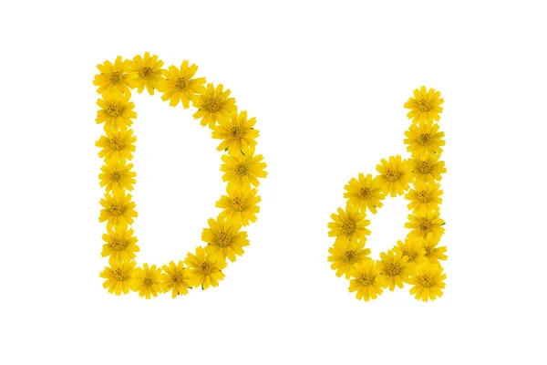 Buchstabe Alphabet Aus Gelben Wedelia Blumen Isoliert Auf Weißem Hintergrund — Stockfoto