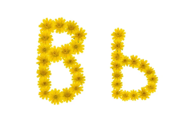 Buchstabe Alphabet Aus Gelben Wedelia Blüten Isoliert Auf Weißem Hintergrund — Stockfoto