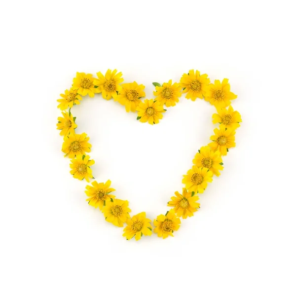 Coração Amarelo Flores Wedelia Grinalda Fundo Branco Com Espaço Cópia — Fotografia de Stock
