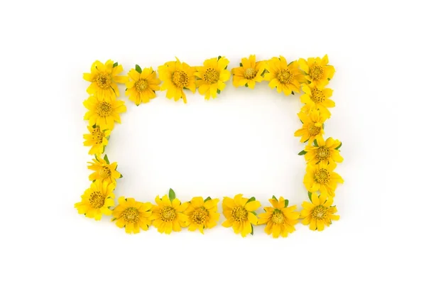 Kwadrat Żółty Wedelia Wieniec Kwiaty Białym Tle Miejsca Kopii — Zdjęcie stockowe