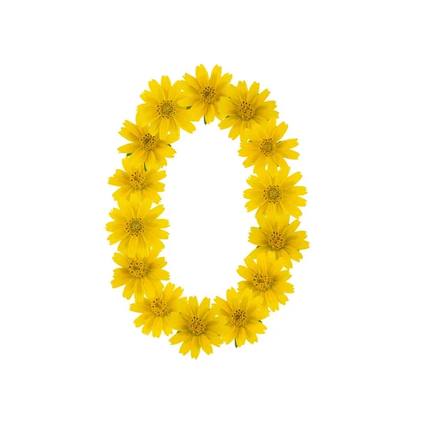 Αριθμός Από Κίτρινα Λουλούδια Wedelia Που Απομονώνονται Λευκό Φόντο — Φωτογραφία Αρχείου